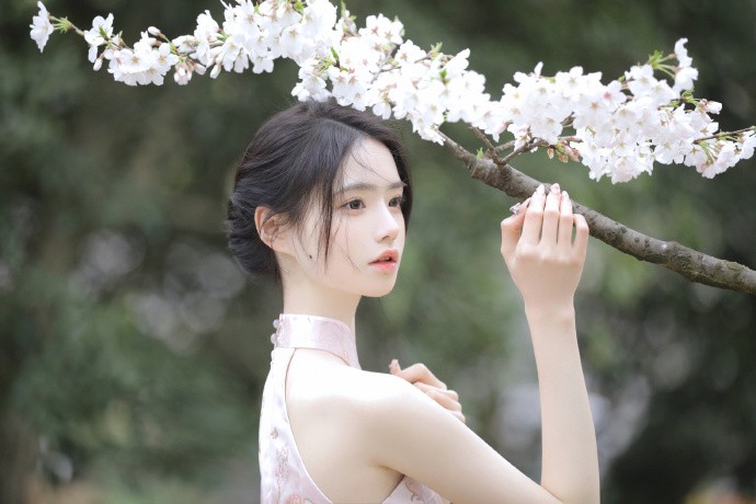七武士 封面