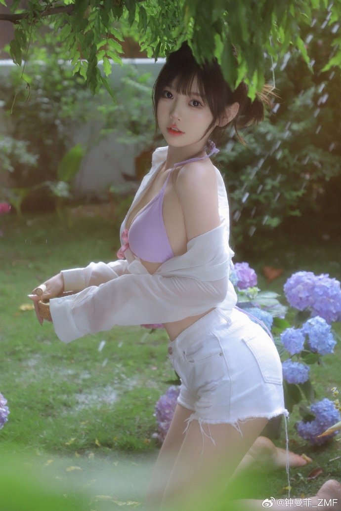 拿破仑 封面